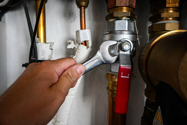 Best Emergency Plumbing Services in Lake Wynonah, PA